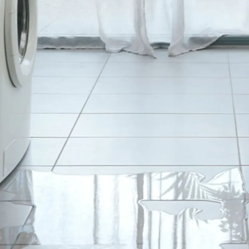 Appliance Leak Cleanup in Douglas County, IL