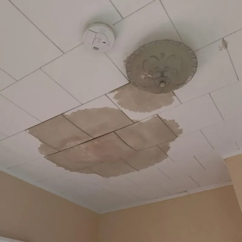 Ceiling Water Damage Repair in Douglas County, IL