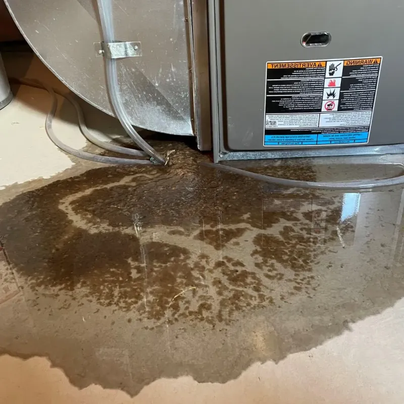 Pipe Burst and Leak Restoration in Douglas County, IL