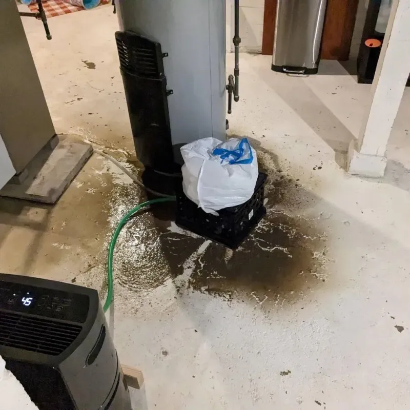 Sewage Backup Cleanup Service in Douglas County, IL